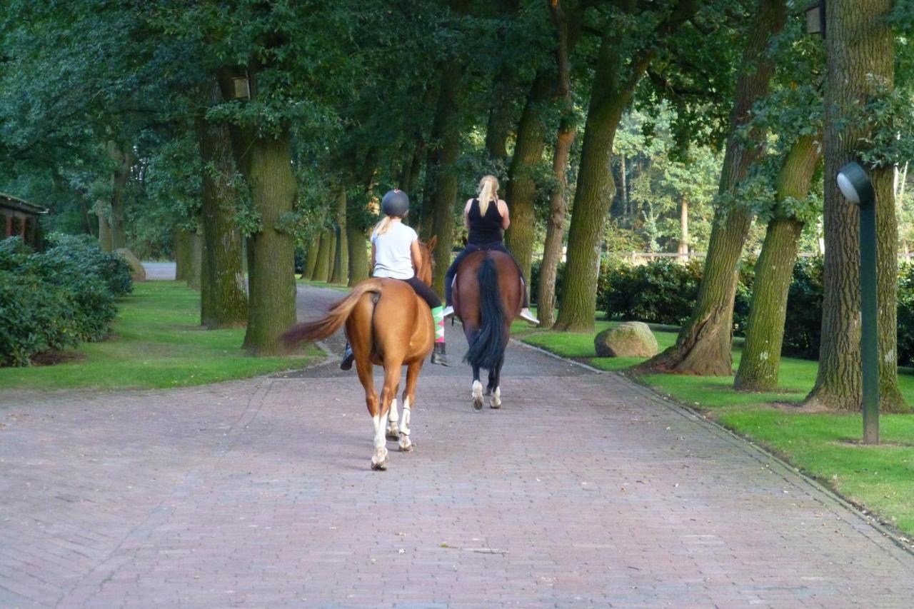 Grosse Ferienwohnung, Auf Bauernhof Mit Ponys Und Pferden, Laendlich Und Ruhig, Naehe Duemmer See Holdorf Bagian luar foto
